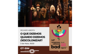 14ª edição do Congresso Nacional BAD | Grupo de Trabalho Sistemas de Informação em Museus (GT-SIM)