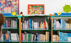 Breve abordagem sobre os desafios e prioridades das bibliotecas escolares no século XXI