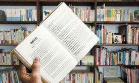 catalogacao avancada