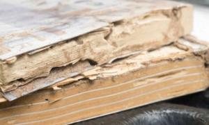 Saiba como gerir desastres em bibliotecas e arquivos!