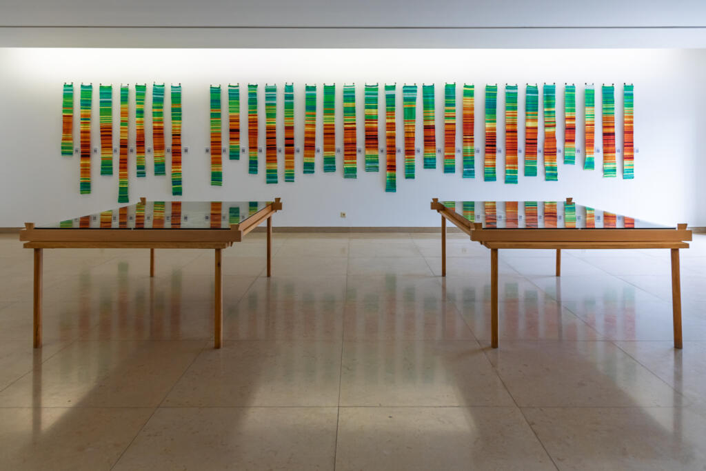 Projeto «A Linha do Clima» distinguido no IFLA Green Library Award 2026 1 Photo credit University of Aveiro Library 1